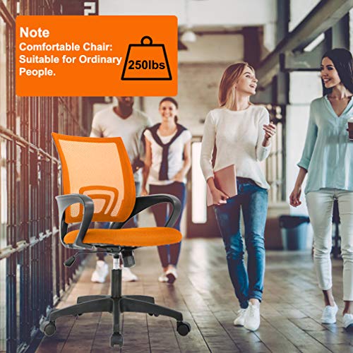 Home Office Chair Ergonomic Desk Chair Mesh Computer Chair with Lumbar Support Armrest Executive Rolling Swivel Adjustable Mid Back Task Chair for Women Adults, Black