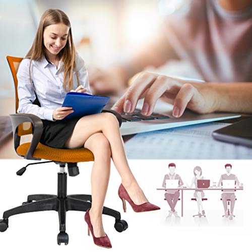 Home Office Chair Ergonomic Desk Chair Mesh Computer Chair with Lumbar Support Armrest Executive Rolling Swivel Adjustable Mid Back Task Chair for Women Adults, Black